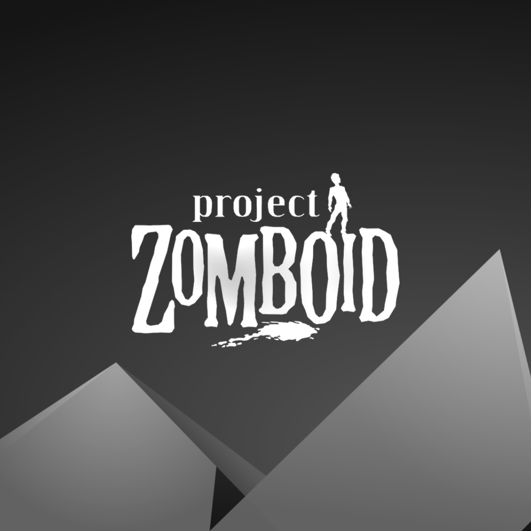 Zomboid Custom